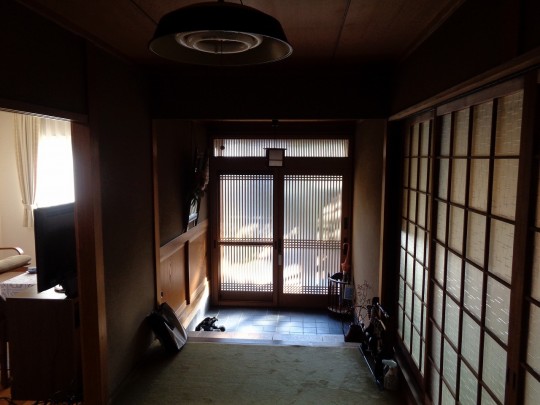 写真タイトル